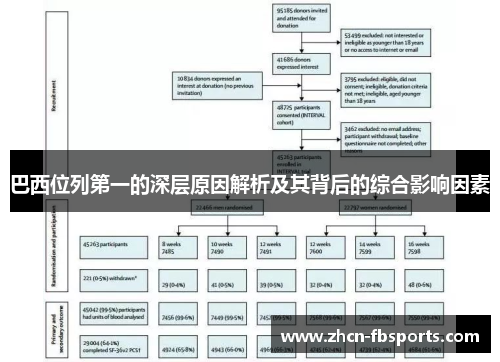 巴西位列第一的深层原因解析及其背后的综合影响因素