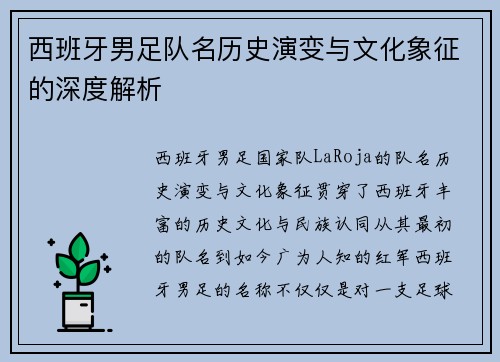 西班牙男足队名历史演变与文化象征的深度解析